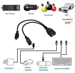Micro USB to USB Port Adapter (OTG Cable + Power Cable)